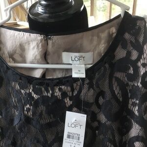 Ann Taylor Loft lined lace dress size 14